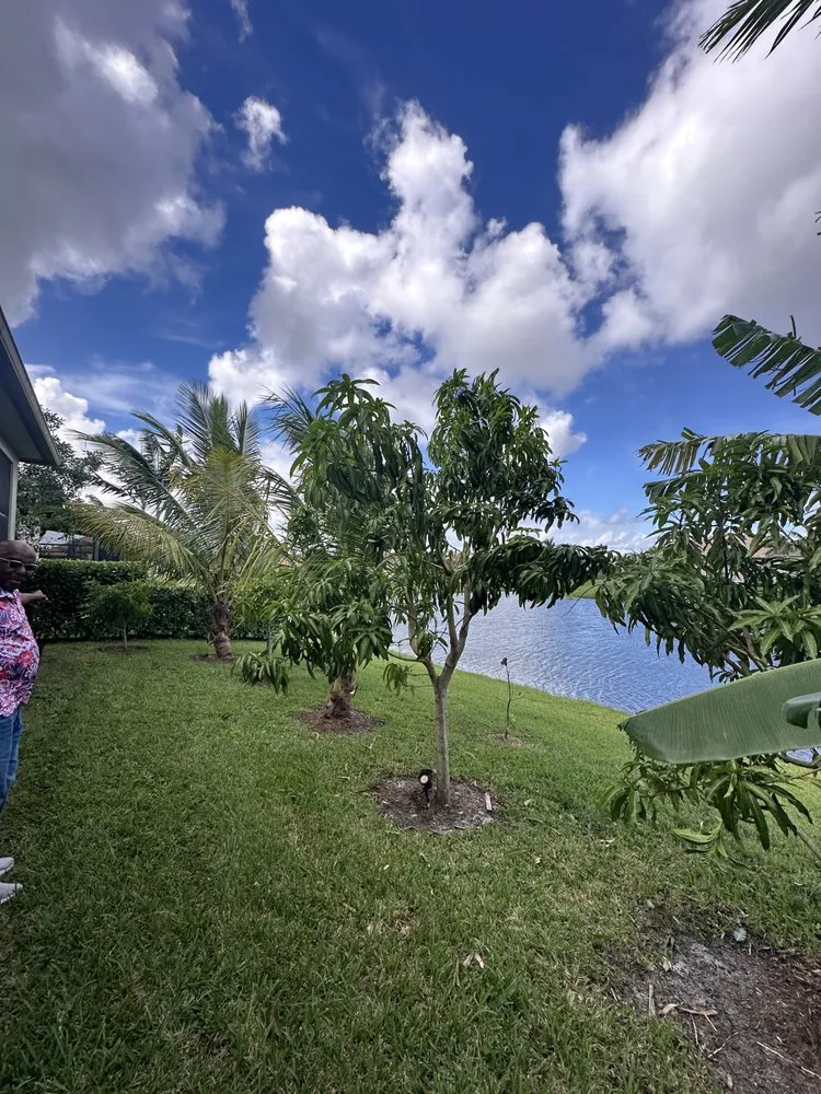 Professional lawn care service experts serving Lauderdale Lakes, FL - Timber Troupe Tree Care