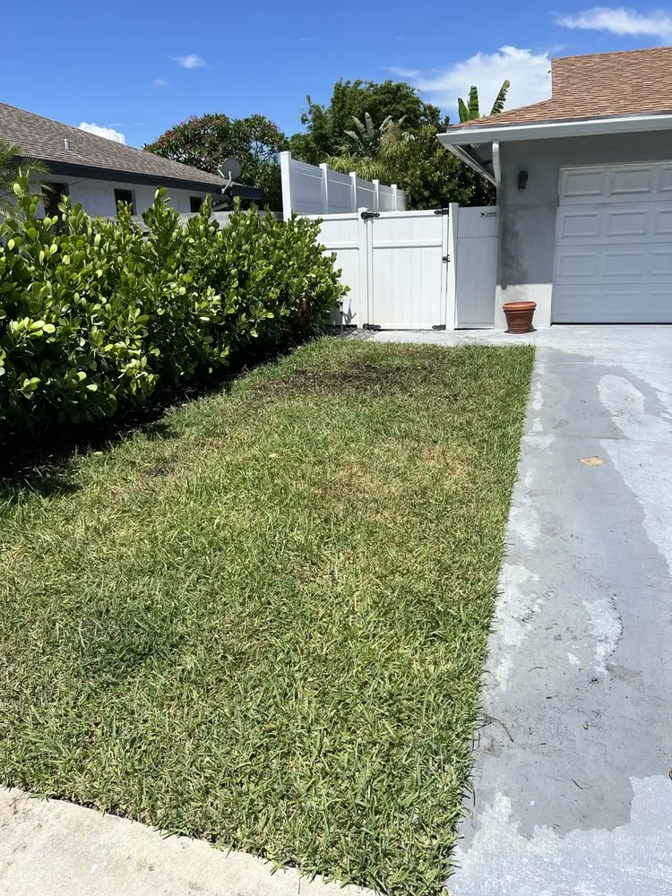 Local landscaping services in Lauderdale Lakes, FL - Timber Troupe Tree Care