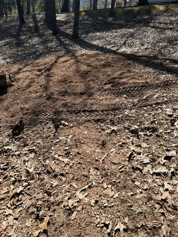 Professional yard cleanup service experts serving Birmingham, AL - Timber Twins Tree and Landscaping Service