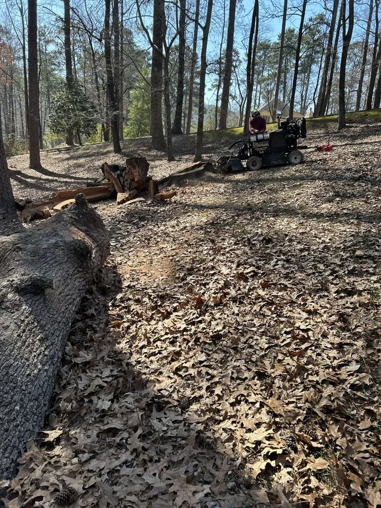 Expert landscaping services near you across Birmingham, AL - Timber Twins Tree and Landscaping Service