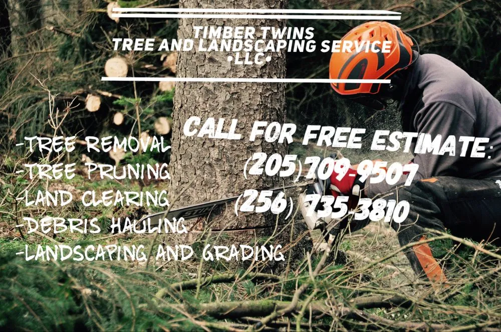 Professional yard maintenance for outdoor upgrades across Birmingham, AL - Timber Twins Tree and Landscaping Service