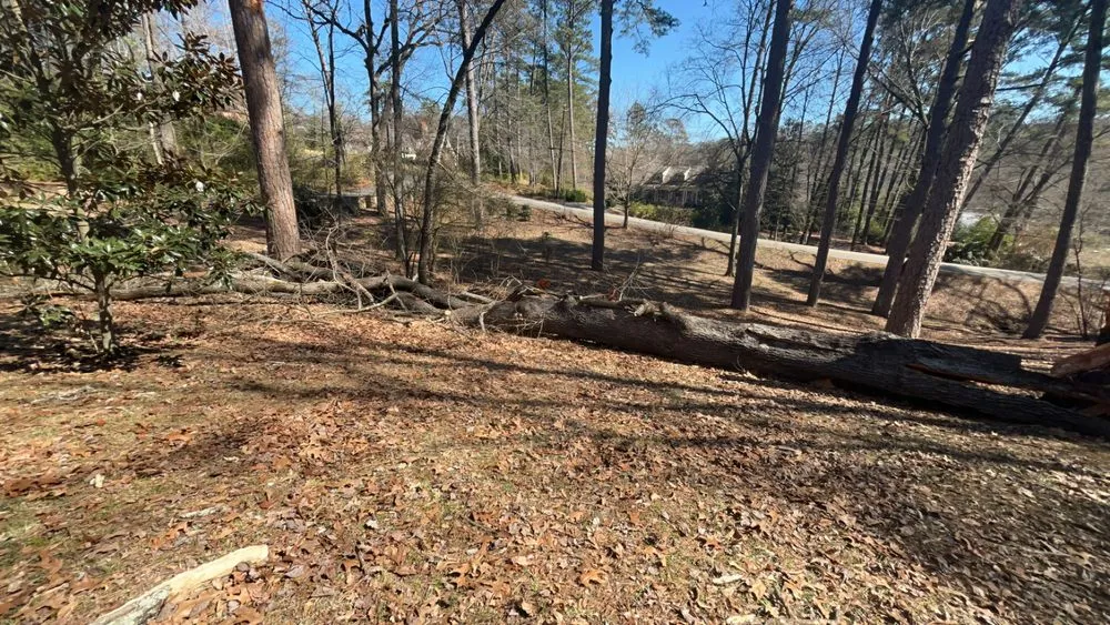 Top-rated landscape installation near you across Birmingham, AL - Timber Twins Tree and Landscaping Service