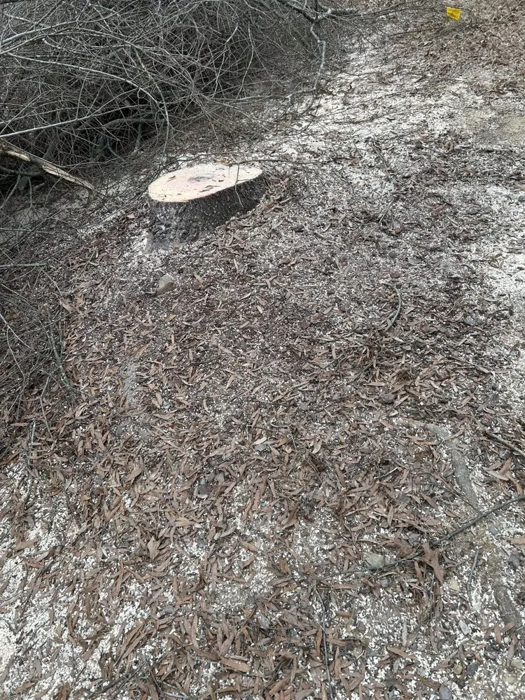 Affordable yard cleanup service experts serving Birmingham, AL - Timber Twins Tree and Landscaping Service