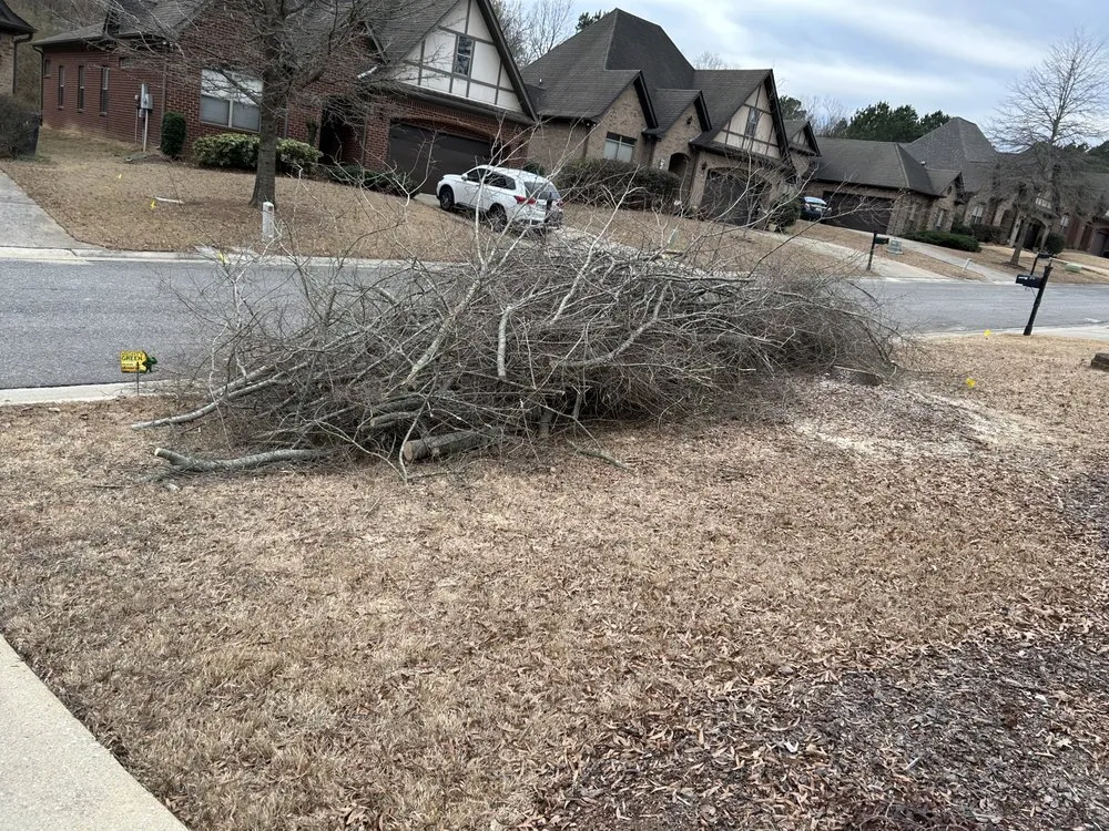 Reliable landscape installation experts serving Birmingham, AL - Timber Twins Tree and Landscaping Service