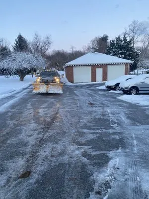 Timber Valley Services Logo