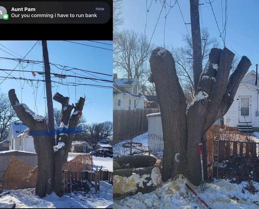 Professional landscaping services for outdoor upgrades in Warren, MI by Timber-Wedge Tree Service