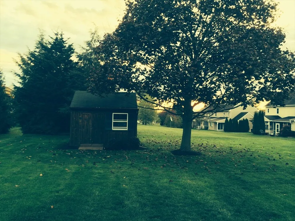 Top-rated outdoor landscaping in Elizabethtown, PA - Timber Wolf Tree & Lawn