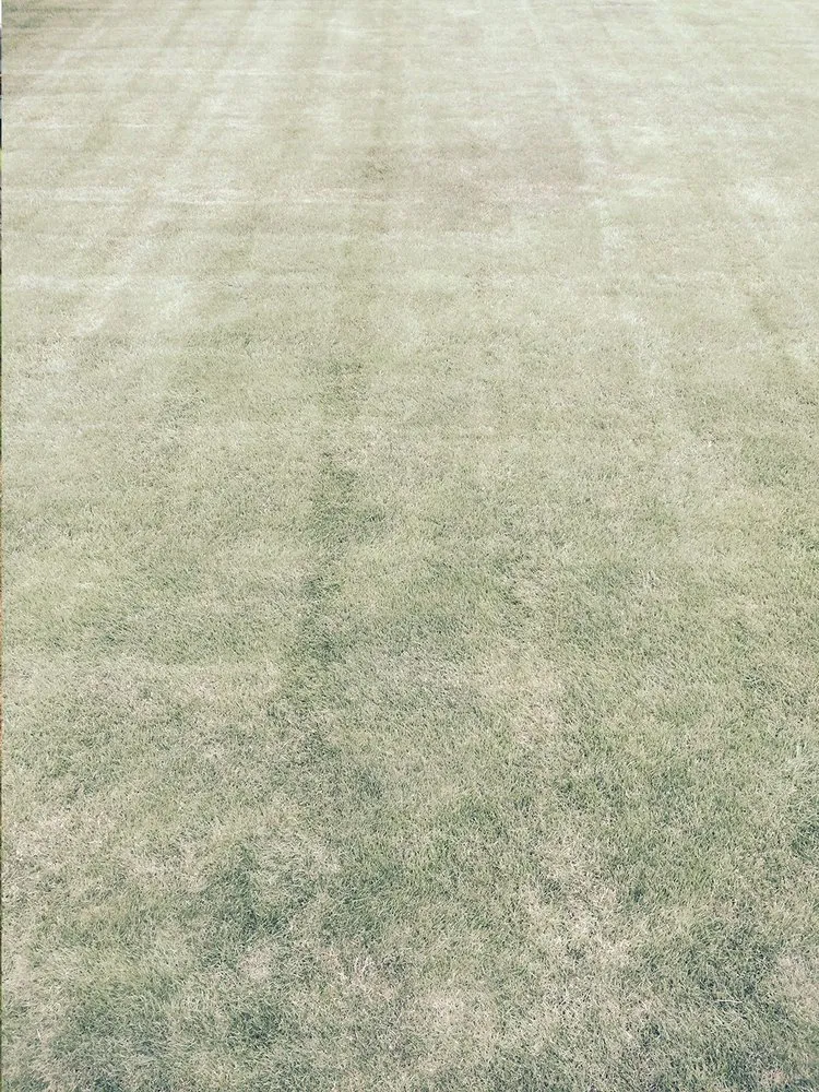 Reliable landscape design for homes across Elizabethtown, PA - Timber Wolf Tree & Lawn