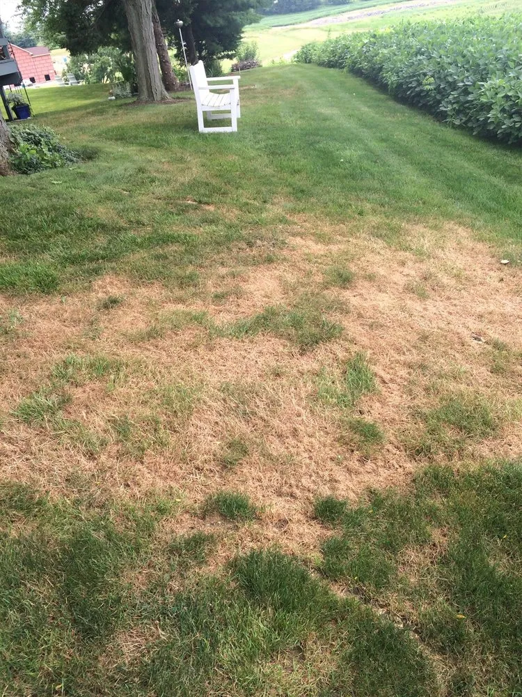 Trusted landscape installation for residential properties across Elizabethtown, PA - Timber Wolf Tree & Lawn