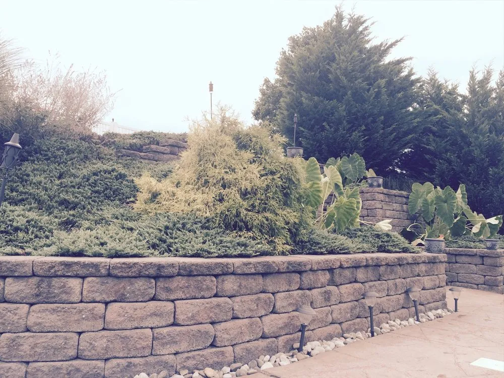 Top-rated landscaping services for year-round maintenance in Elizabethtown, PA by Timber Wolf Tree & Lawn