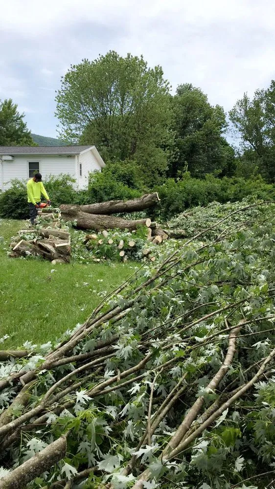 Reliable garden landscaping in Harrisonburg, VA by Timber Wolf Tree Service