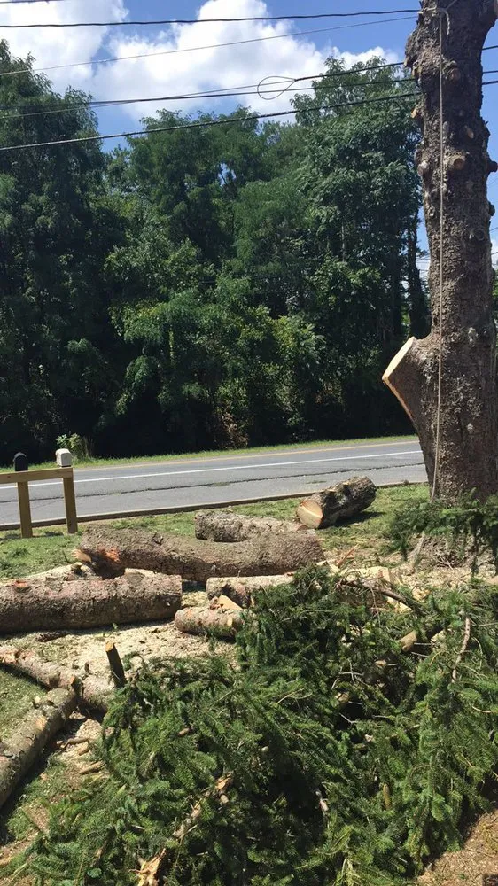 Local outdoor landscaping for outdoor upgrades in Harrisonburg, VA by Timber Wolf Tree Service