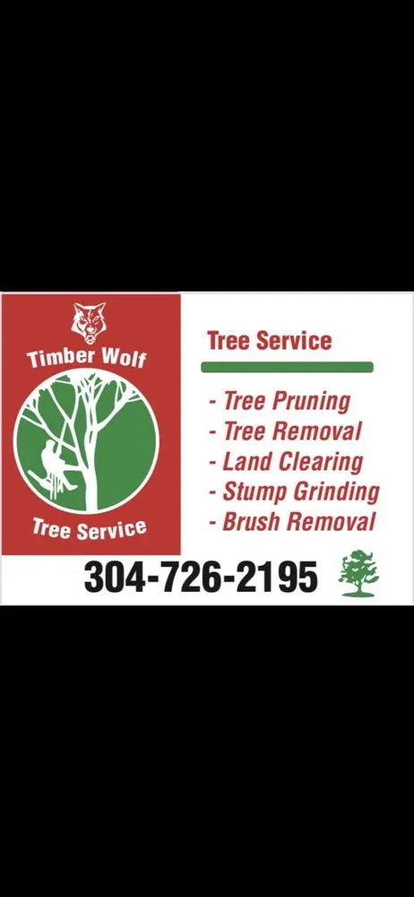 Affordable yard cleanup service for year-round maintenance across Harrisonburg, VA - Timber Wolf Tree Service