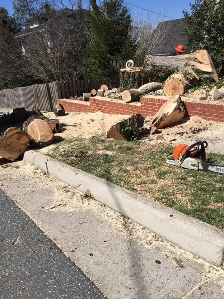 Top-rated residential landscaping experts serving Harrisonburg, VA - Timber Wolf Tree Service