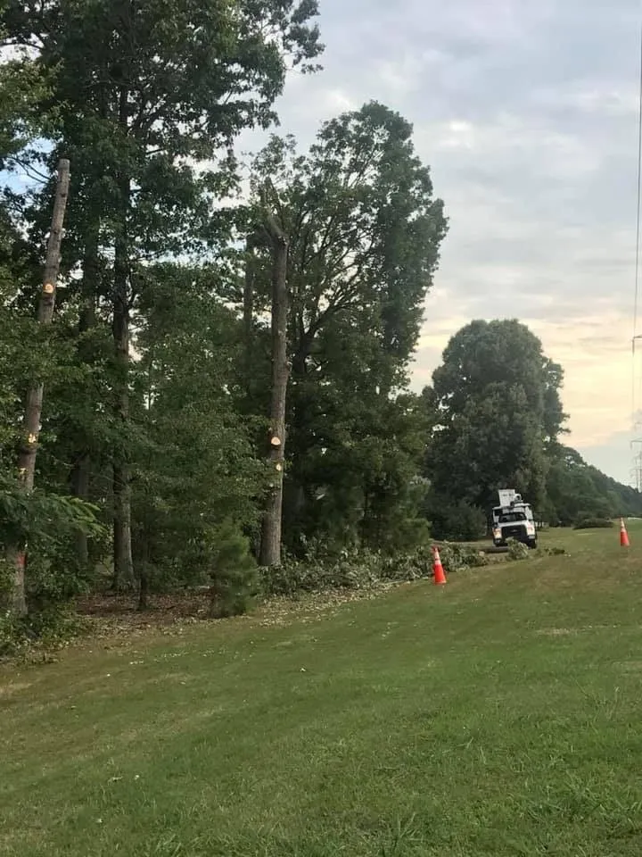 Top-rated garden landscaping for residential properties in Harrisonburg, VA by Timber Wolf Tree Service