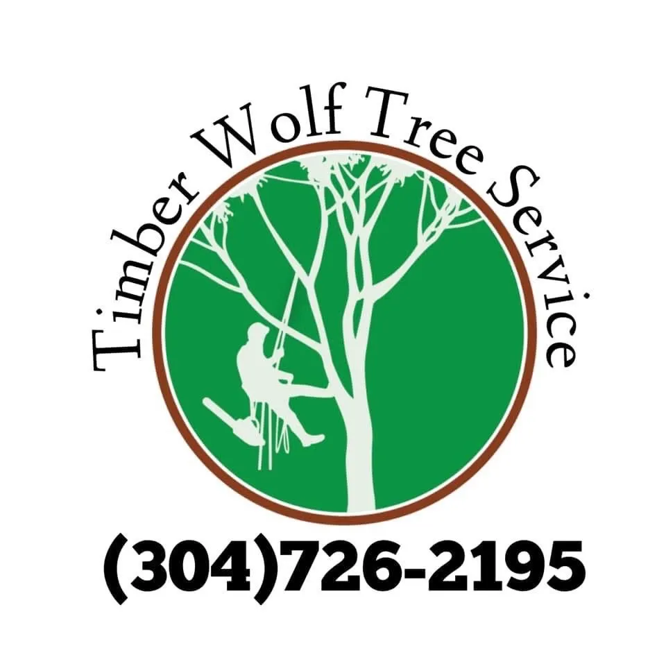 Trusted lawn care service experts serving Harrisonburg, VA - Timber Wolf Tree Service