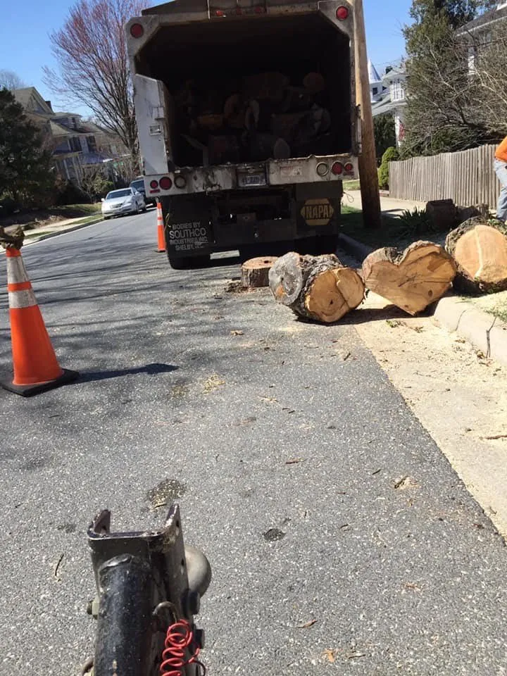 Affordable landscape design in Harrisonburg, VA - Timber Wolf Tree Service