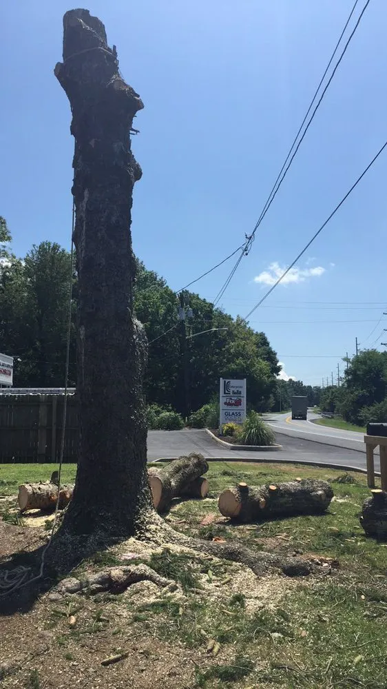 Custom landscape design for year-round maintenance in Harrisonburg, VA by Timber Wolf Tree Service