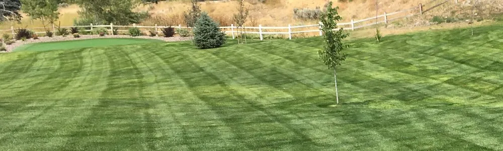 Expert yard maintenance in Amarillo, TX - TimberCreek Services Lawn & Landscape