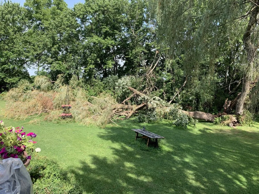 Local landscaping services in Harvard, IL by Timbergreen