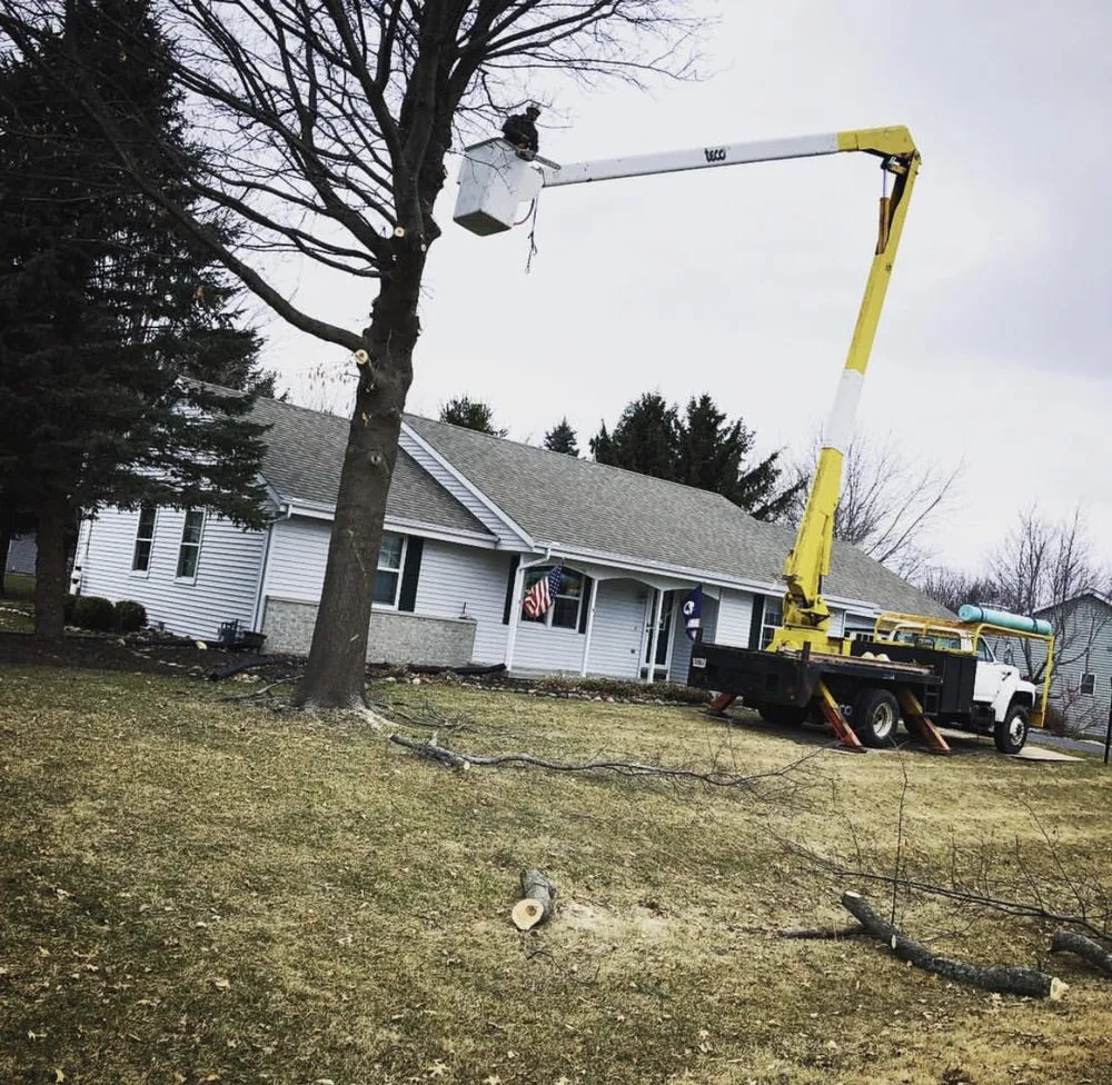 Professional lawn mowing service experts serving Harvard, IL - Timbergreen