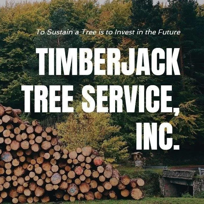 Affordable outdoor landscaping in Selbyville, DE - Timberjack Tree Service