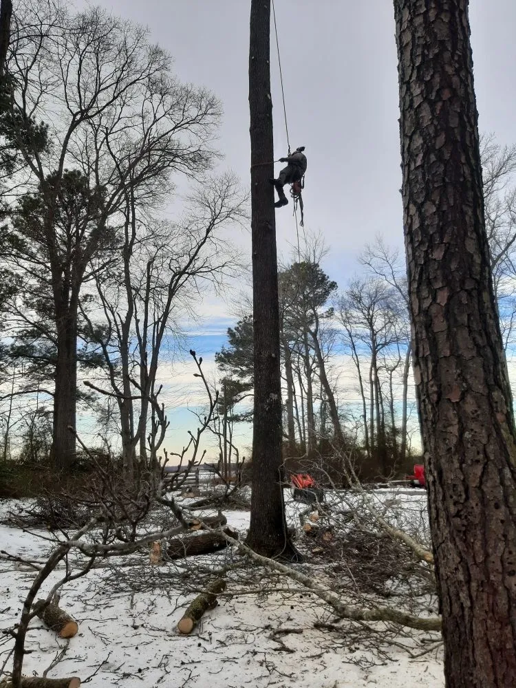 Trusted garden landscaping for beautiful yards across Selbyville, DE - Timberjack Tree Service