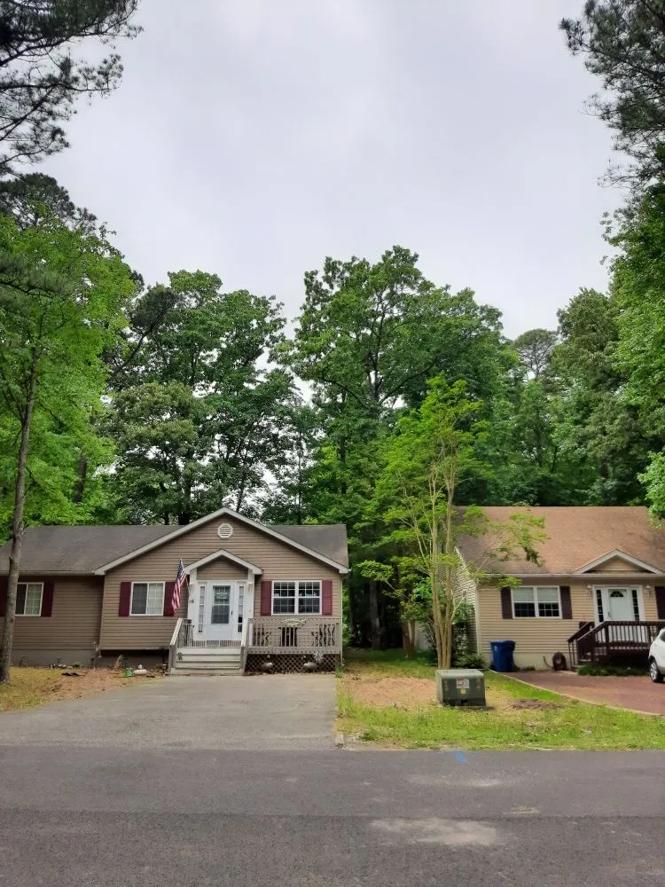 Professional landscape installation for year-round maintenance across Selbyville, DE - Timberjack Tree Service