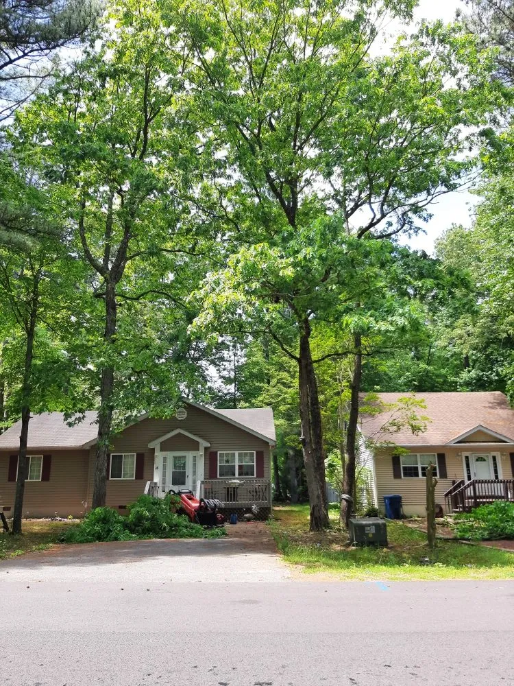 Top-rated garden landscaping in Selbyville, DE by Timberjack Tree Service