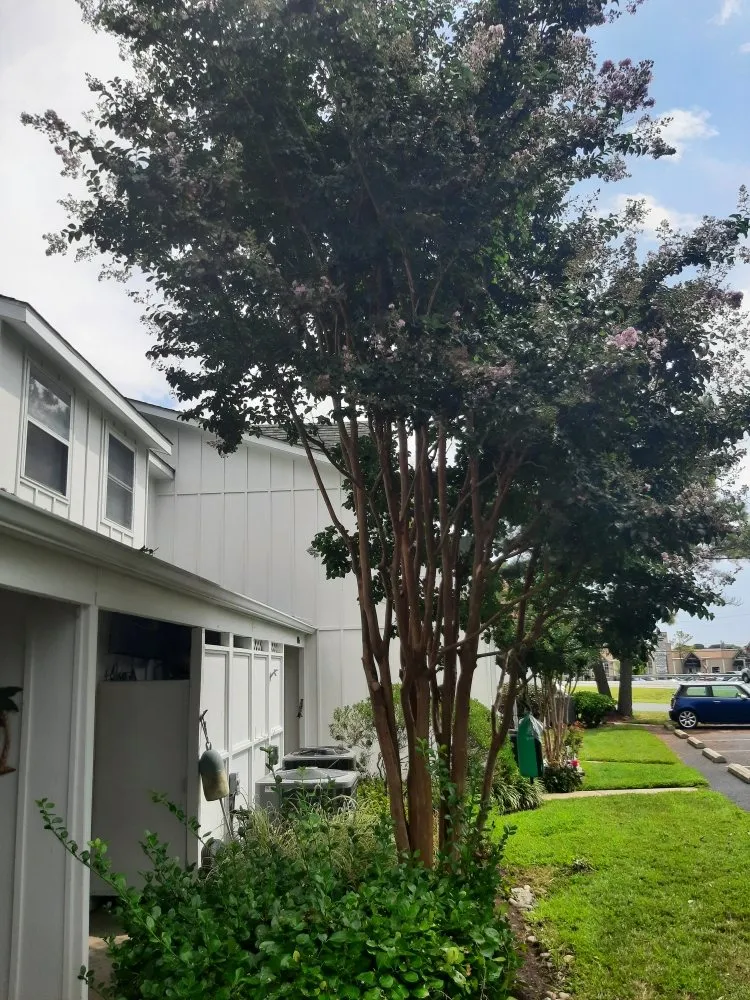 Affordable landscape design in Selbyville, DE - Timberjack Tree Service