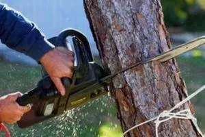 Expert outdoor landscaping in Selbyville, DE - Timberjack Tree Service