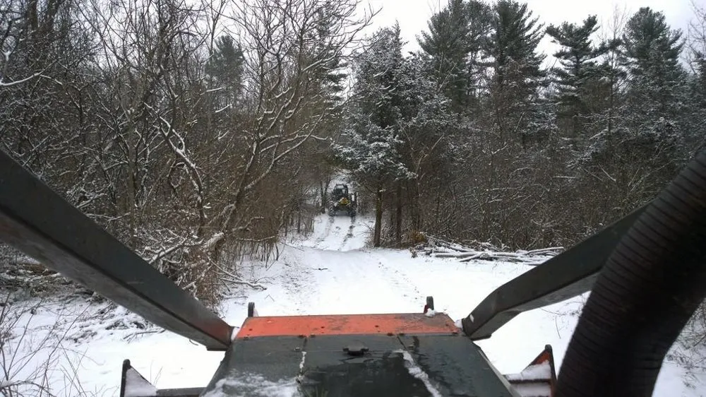 Local outdoor landscaping for homes in Leeds, NY by Timberjack Treework