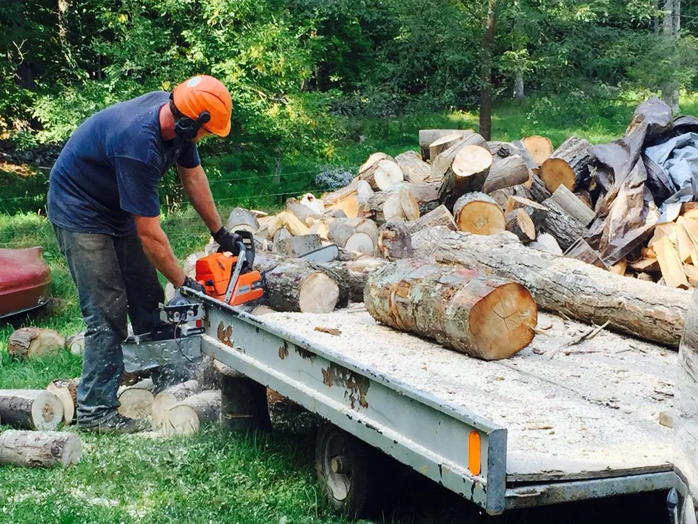 Professional yard maintenance for residential properties across Leeds, NY - Timberjack Treework