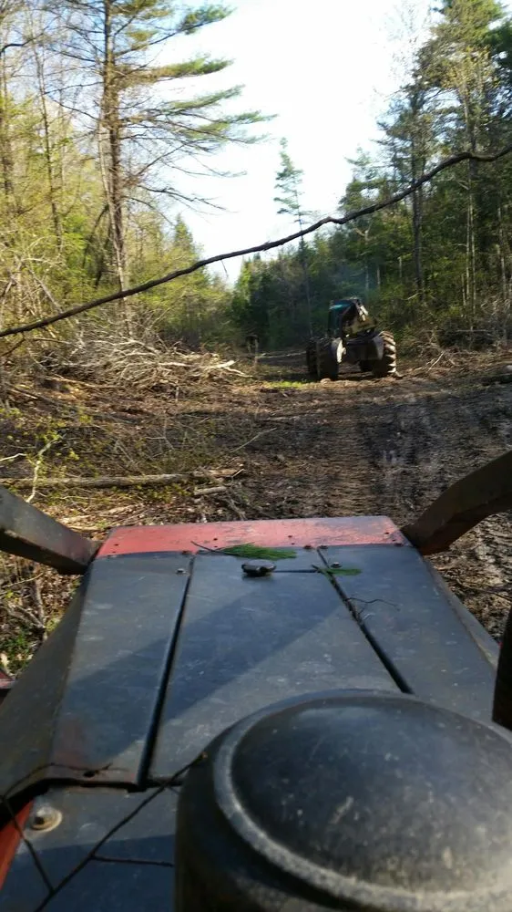 Affordable garden landscaping for year-round maintenance in Leeds, NY by Timberjack Treework