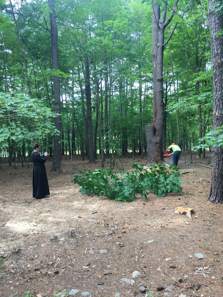 Expert landscape design for beautiful yards in Leeds, NY by Timberjack Treework