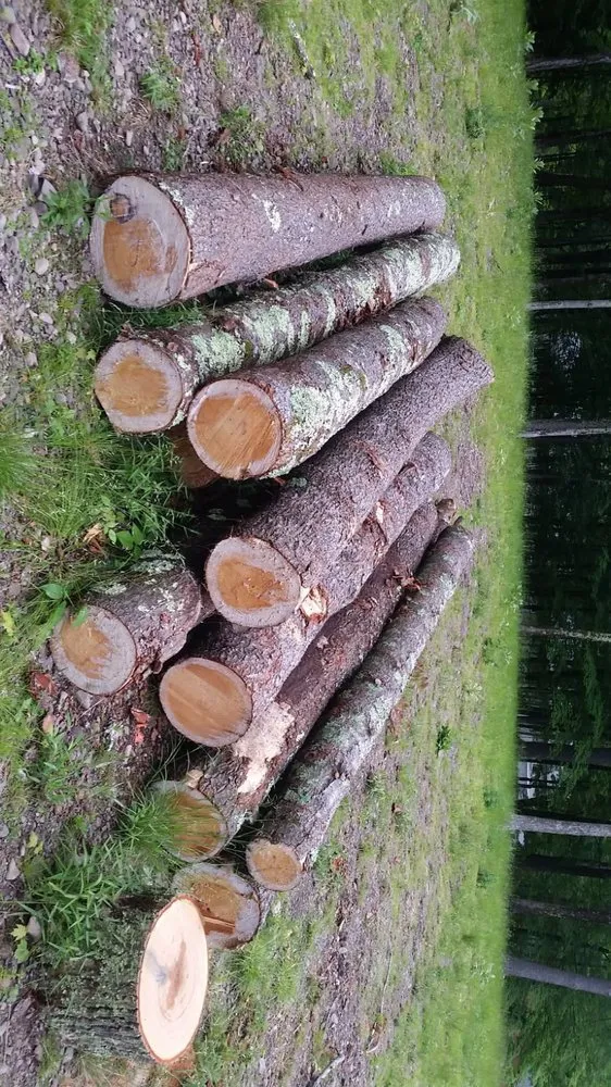 Local lawn care service for residential properties in Leeds, NY by Timberjack Treework