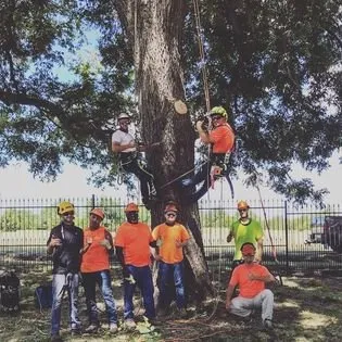 Professional landscape installation with custom design in Denison, TX by Timberjak