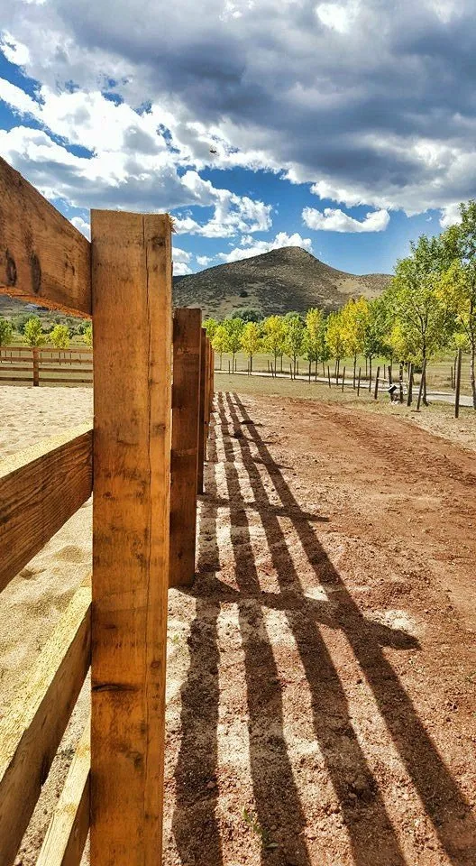 Expert landscaping services in Loveland, CO - Timberland Fence, Lawn, and Landscape
