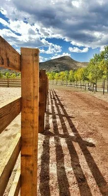 Timberland Fence, Lawn, and Landscape