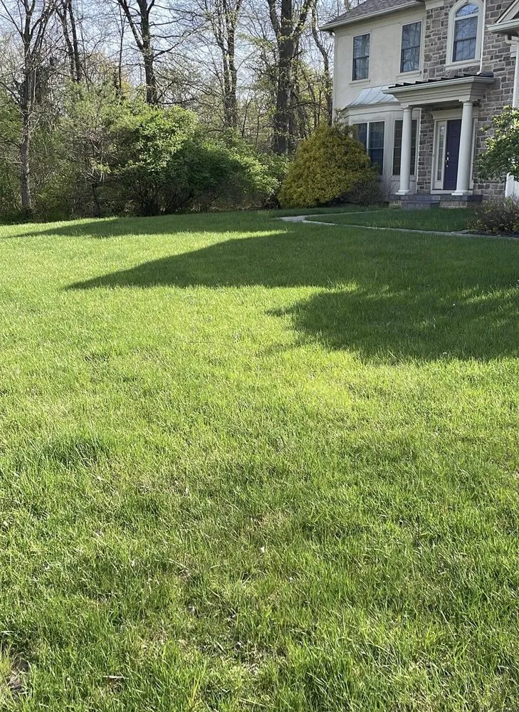 Local yard cleanup service near you in Pataskala, OH by Timberland Pros Landscaping