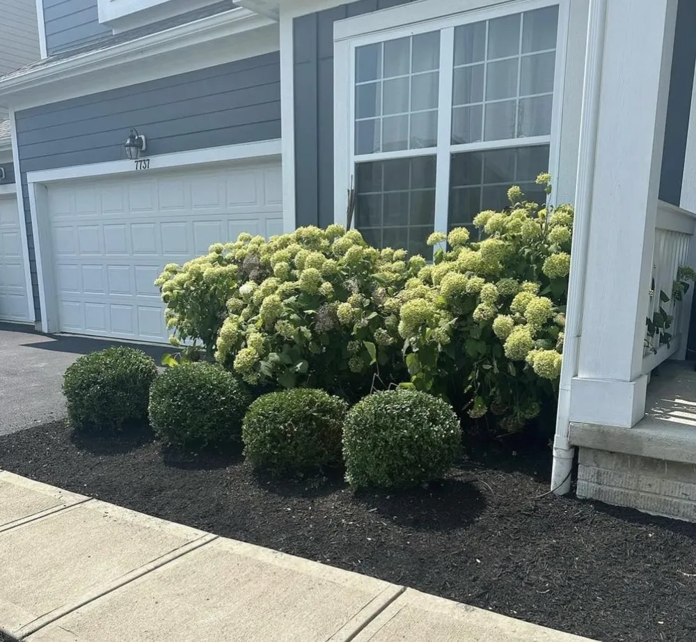 Local yard maintenance in Pataskala, OH by Timberland Pros Landscaping