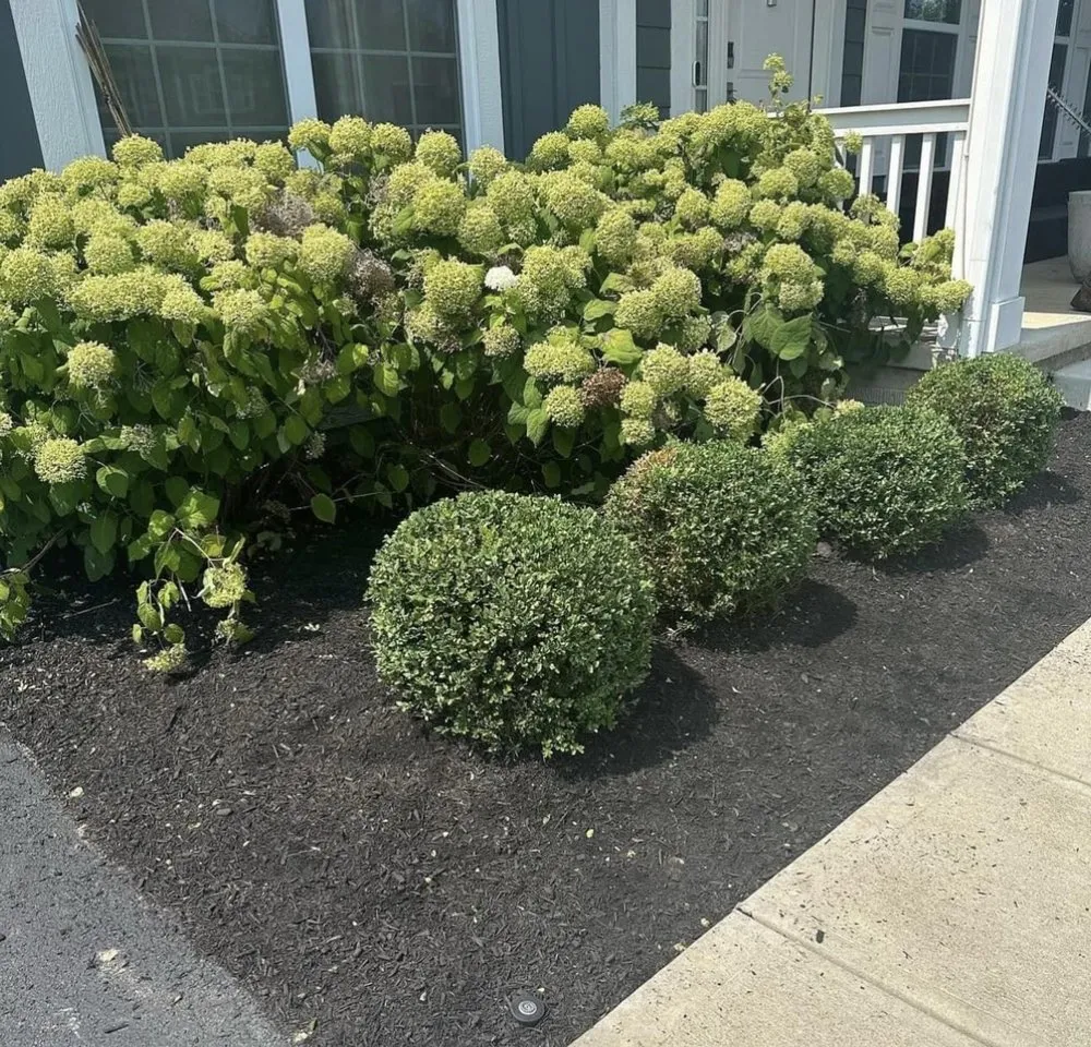 Top-rated lawn care service for outdoor upgrades across Pataskala, OH - Timberland Pros Landscaping