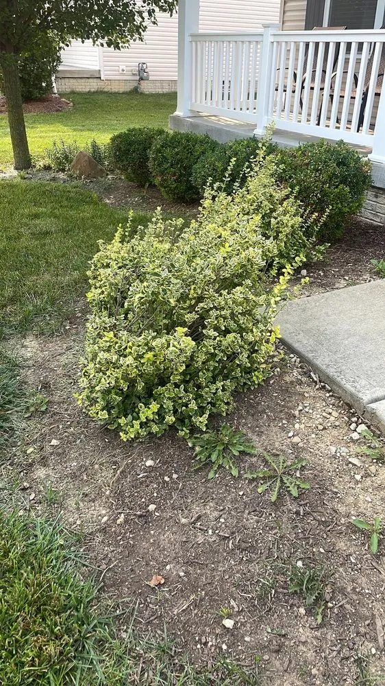 Reliable lawn mowing service experts serving Pataskala, OH - Timberland Pros Landscaping