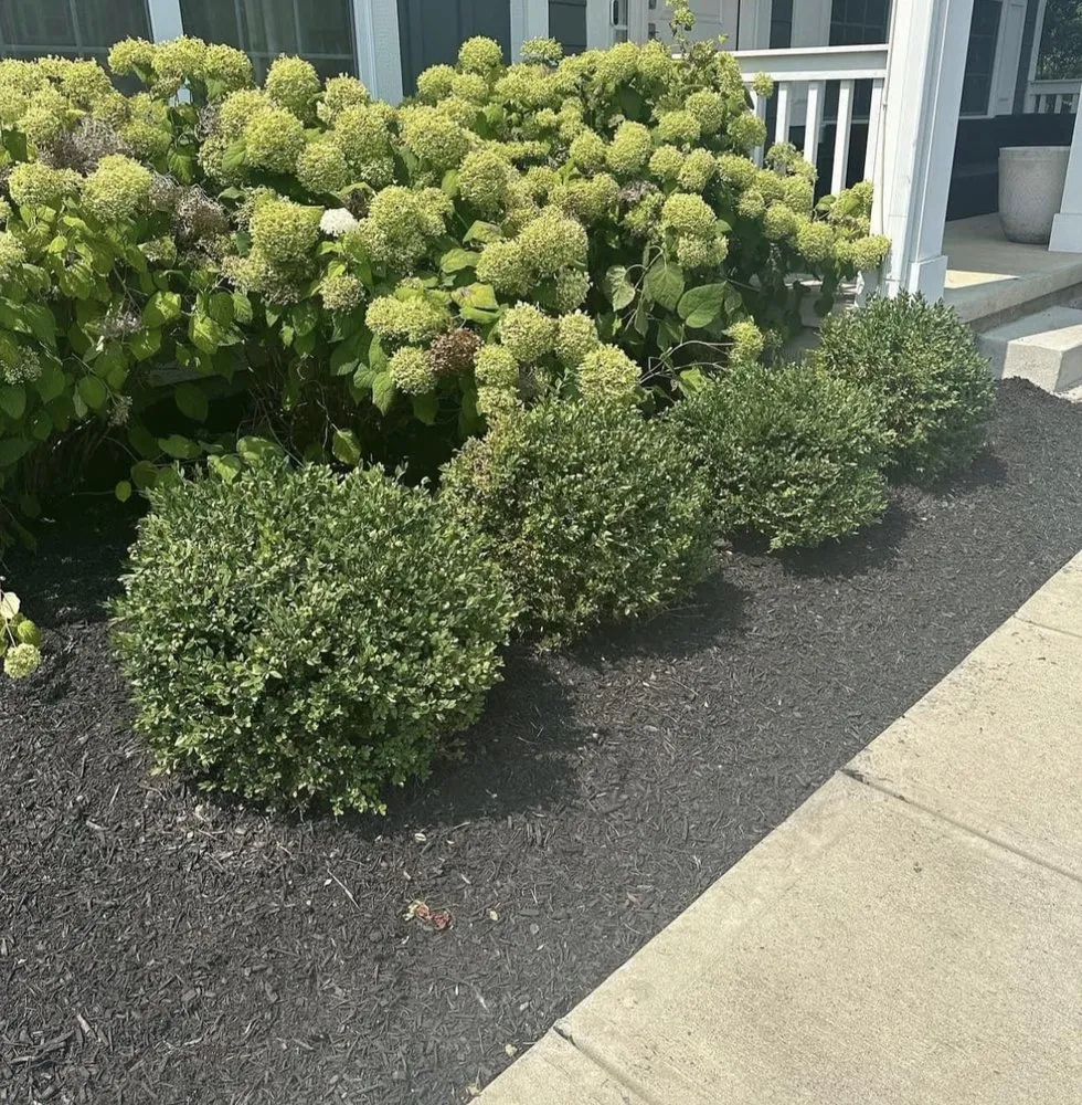 Affordable lawn mowing service for beautiful yards in Pataskala, OH by Timberland Pros Landscaping