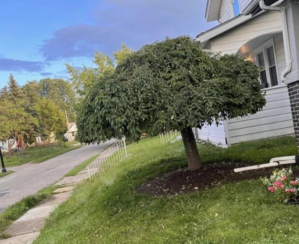 Expert residential landscaping in Pataskala, OH - Timberland Pros Landscaping