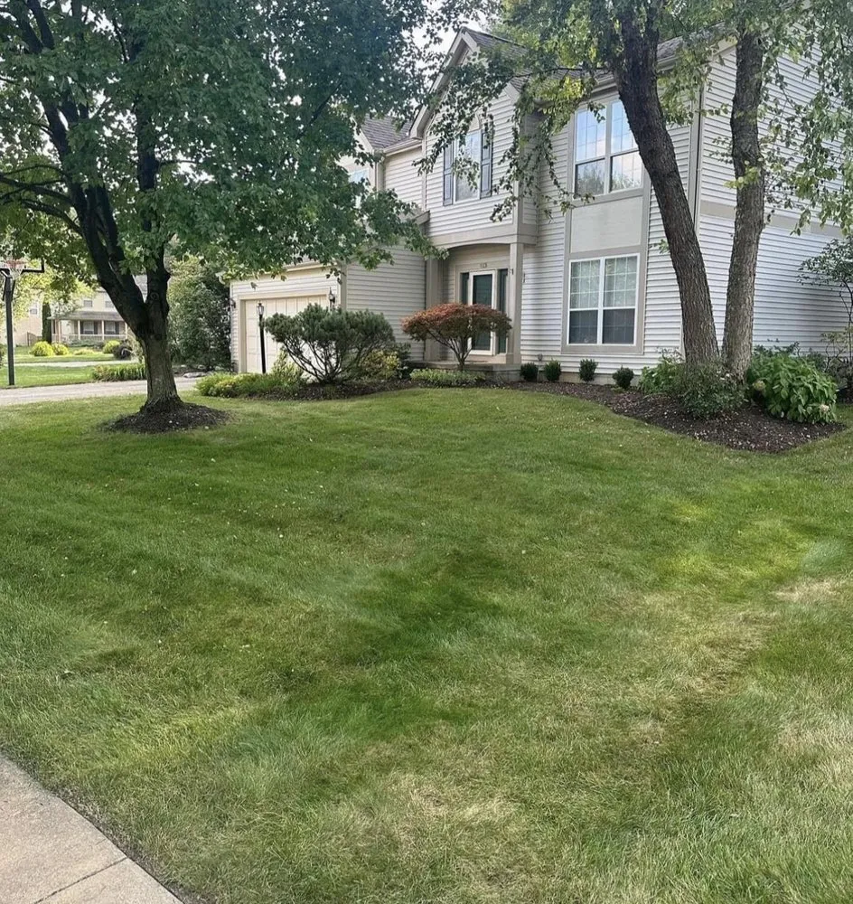 Reliable yard cleanup service with custom design in Pataskala, OH by Timberland Pros Landscaping