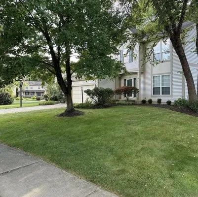 Timberland Pros Landscaping