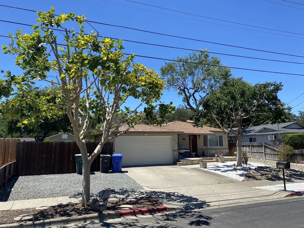 Trusted outdoor landscaping in Concord, CA - Timberland Tree Care