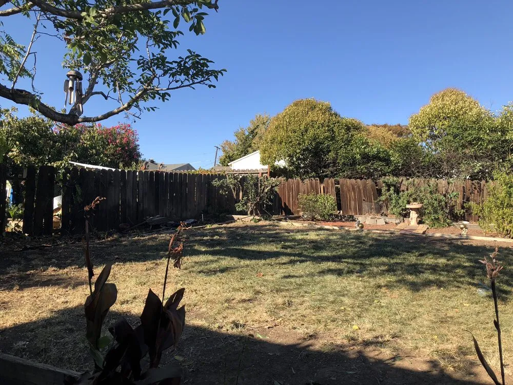 Custom garden landscaping experts serving Concord, CA - Timberland Tree Care