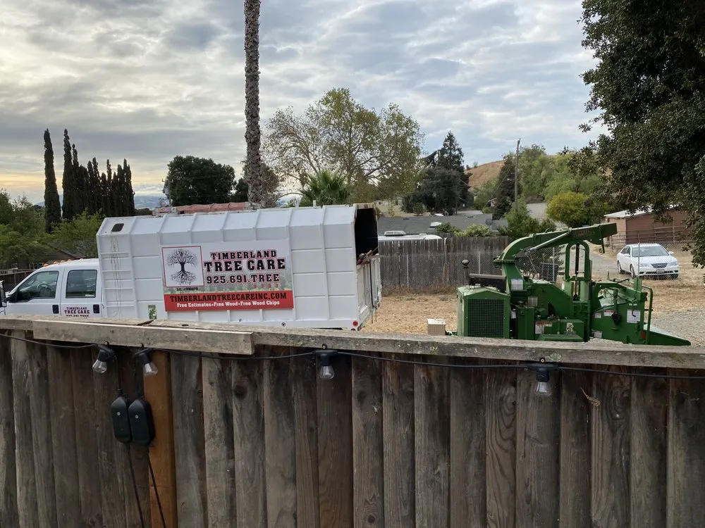 Top-rated yard cleanup service for year-round maintenance in Concord, CA by Timberland Tree Care
